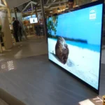 Самый большой телевизор Sony